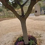 Il Doganiere Montecchio (Terni)