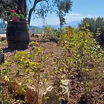 Il Doganiere 4* Montecchio (Terni)