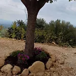 Il Doganiere 4*