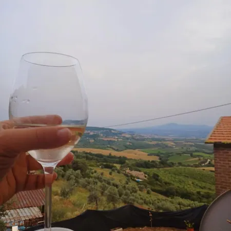 住宿加早餐酒店 Il Doganiere