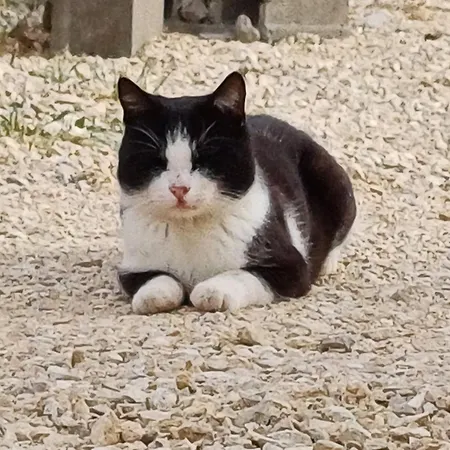 Nocleg ze śniadaniem Il Doganiere 4*