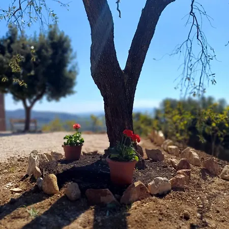 Il Doganiere 住宿加早餐酒店 4*