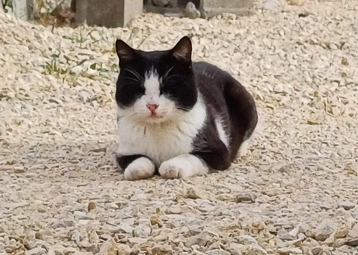 Alojamento de Acomodação e Pequeno-almoço Il Doganiere 4*