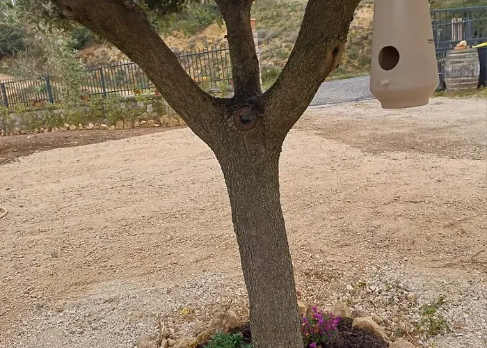 Il Doganiere Montecchio (Terni)