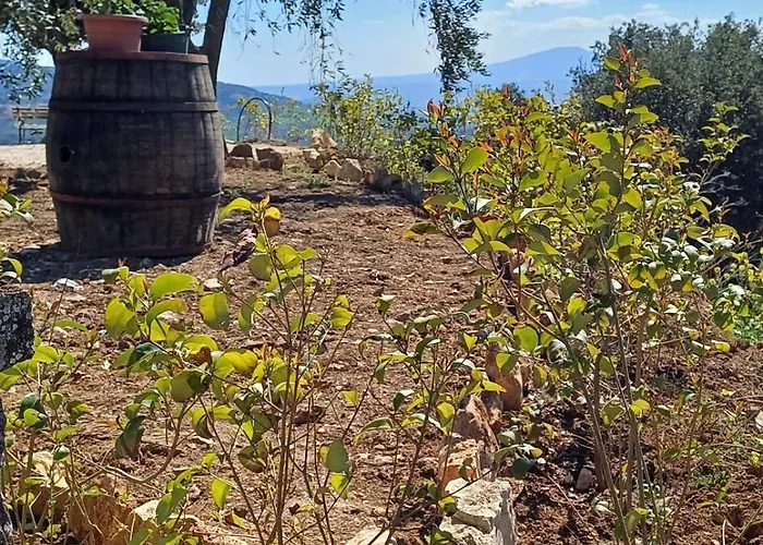 Il Doganiere 4* Montecchio (Terni)