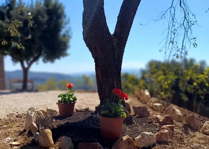 Il Doganiere Nocleg ze śniadaniem 4*